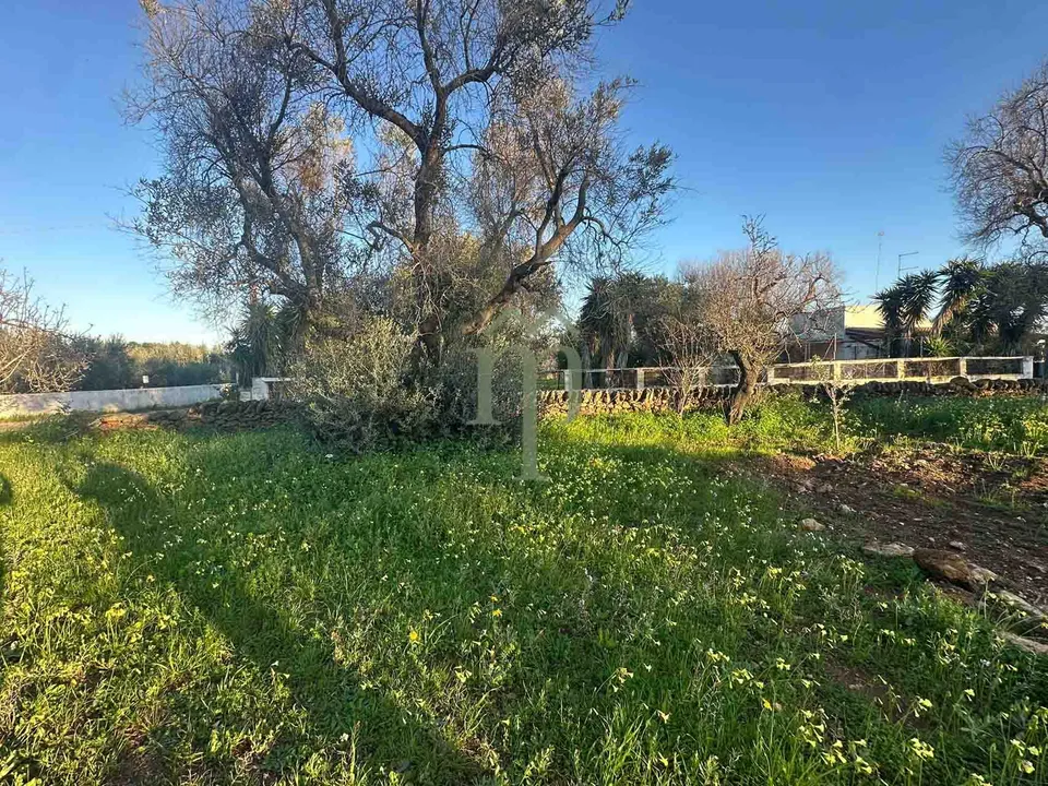 Helårsgrund i Carovigno, Brindisi - foto 1